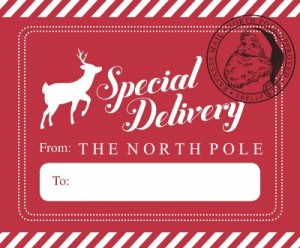Reindeer Delivery
