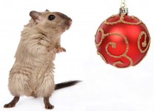 Christmas Mouse