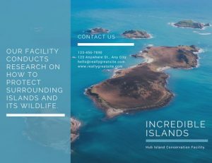 Aerial shot of a large body of water and several islands, as well as portions of white text, make up this brochure template.