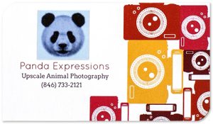 Decorative business card with a colorful camera design in tones of orange, red, and yellow. A panda is also shown on the front in a blue tone. The business card is for an animal photographer.