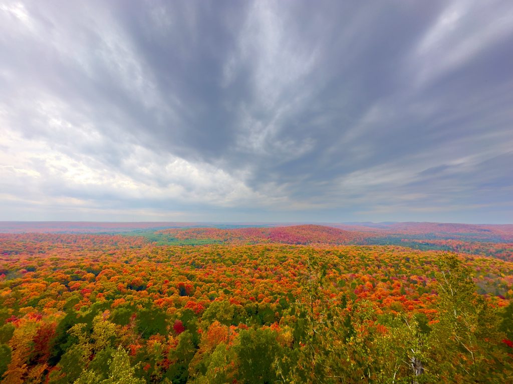 Vast view of colorful trees in autumn.