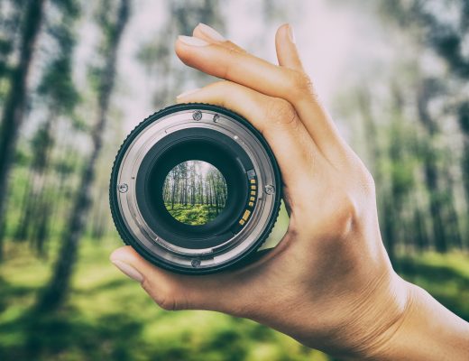 photography view camera photographer lens forest trees lense through video photo digital glass hand blurred focus people concept - stock image